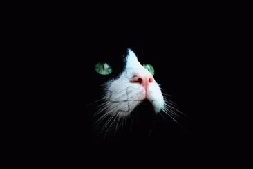 misterio