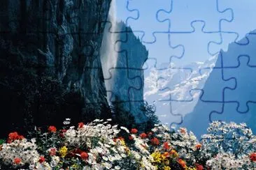 naturaleza jigsaw puzzle