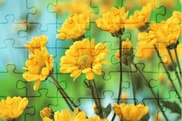 24 jigsaw puzzle