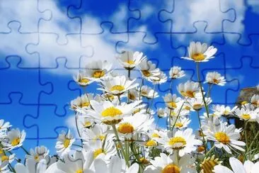 flores3 jigsaw puzzle