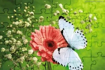 flor e borboleta jigsaw puzzle