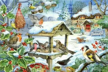 Birds in the Snow