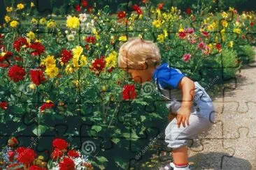 flores4