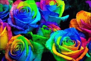 color11 jigsaw puzzle