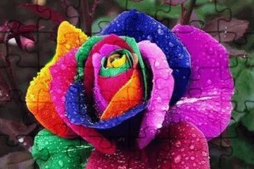 color12 jigsaw puzzle