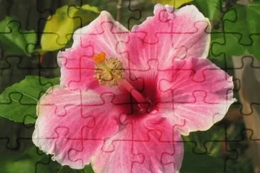 flower jigsaw puzzle