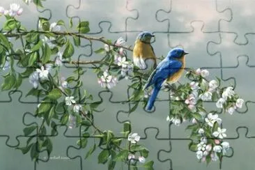 passaros1 jigsaw puzzle