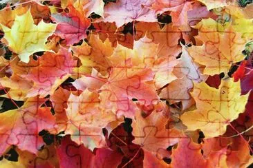 otoÃ±o