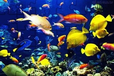peixes