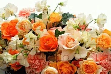 ROSAS. jigsaw puzzle