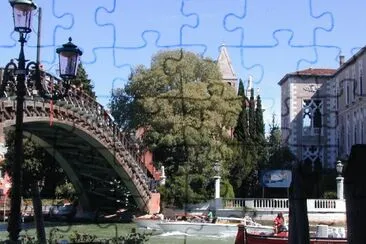 Ponte dell 'Accademia. Venecia.
