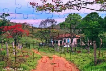 campo