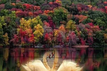 colores