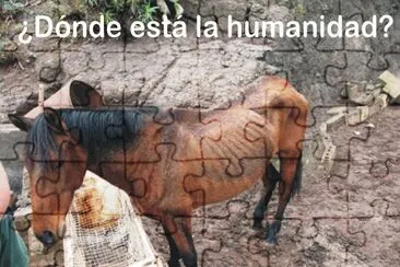 Â¿HUMANIDAD?
