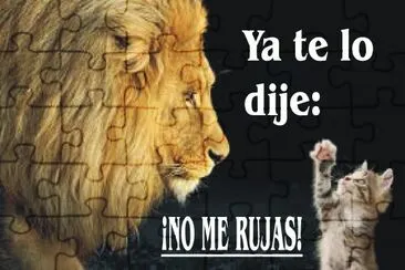 NO ME RUJAS.