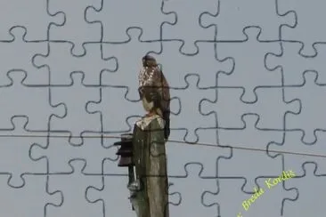 Kanja jigsaw puzzle