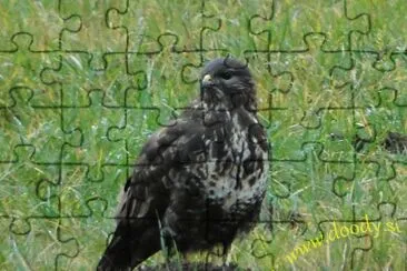Kanja jigsaw puzzle