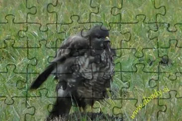 Kanja jigsaw puzzle