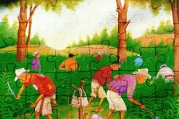 310