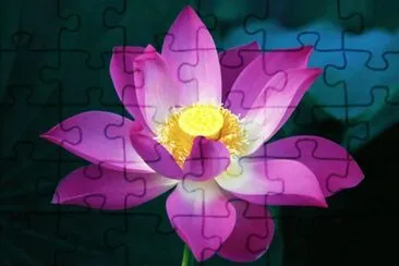 flower jigsaw puzzle