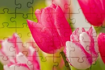 flower jigsaw puzzle