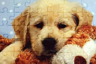 gosset jigsaw puzzle