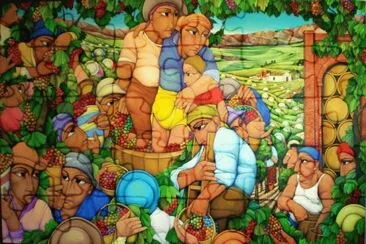 Grape Harvest Argentina