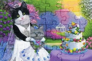 gatos