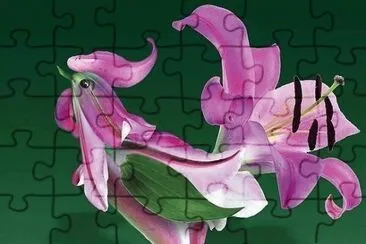 flor jigsaw puzzle