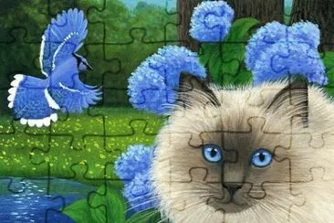 פאזל של gato