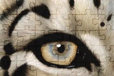 oeil jigsaw puzzle