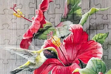 Flying Hummingbird jigsaw puzzle