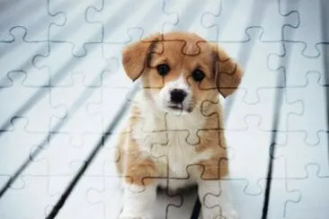Que ternura jigsaw puzzle