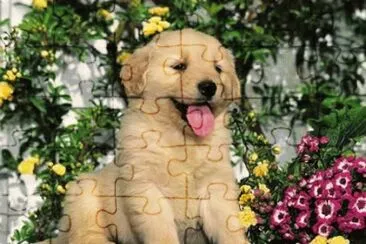 Lindo y adorable jigsaw puzzle