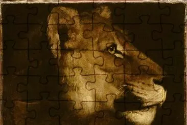 47 jigsaw puzzle