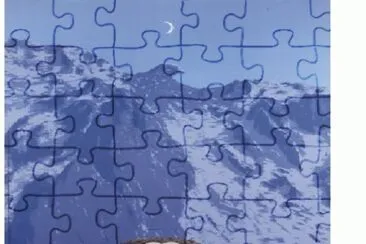 156