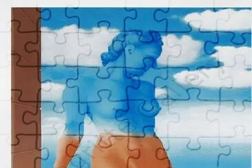  jigsaw puzzle