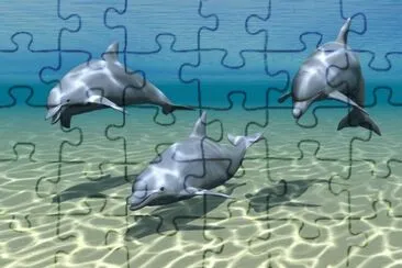 delfines jigsaw puzzle