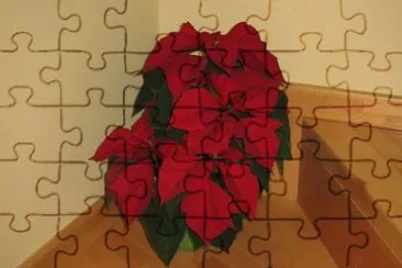 Nadala jigsaw puzzle