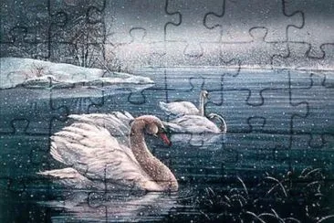 פאזל של cisnes en invierno