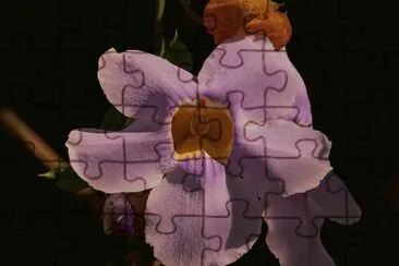 thunbergia jigsaw puzzle