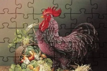 galo jigsaw puzzle