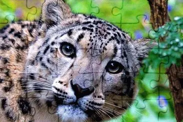 wwf jigsaw puzzle