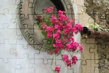 flores
