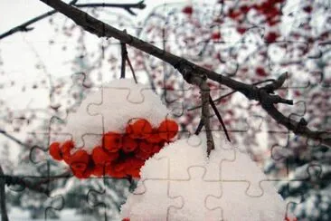 Biancospino? jigsaw puzzle