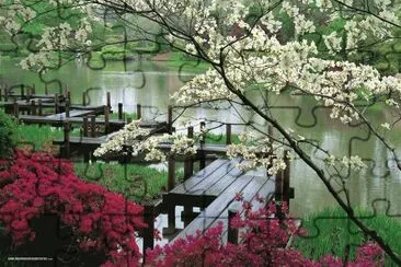 Corea del Sur jigsaw puzzle
