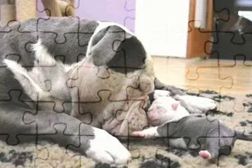 mom#167 jigsaw puzzle