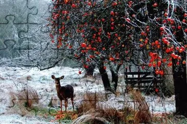 NÂº 496 jigsaw puzzle