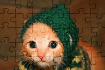 פאזל של no tiene precio