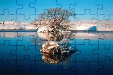 פאזל של Reflejo de Arbol